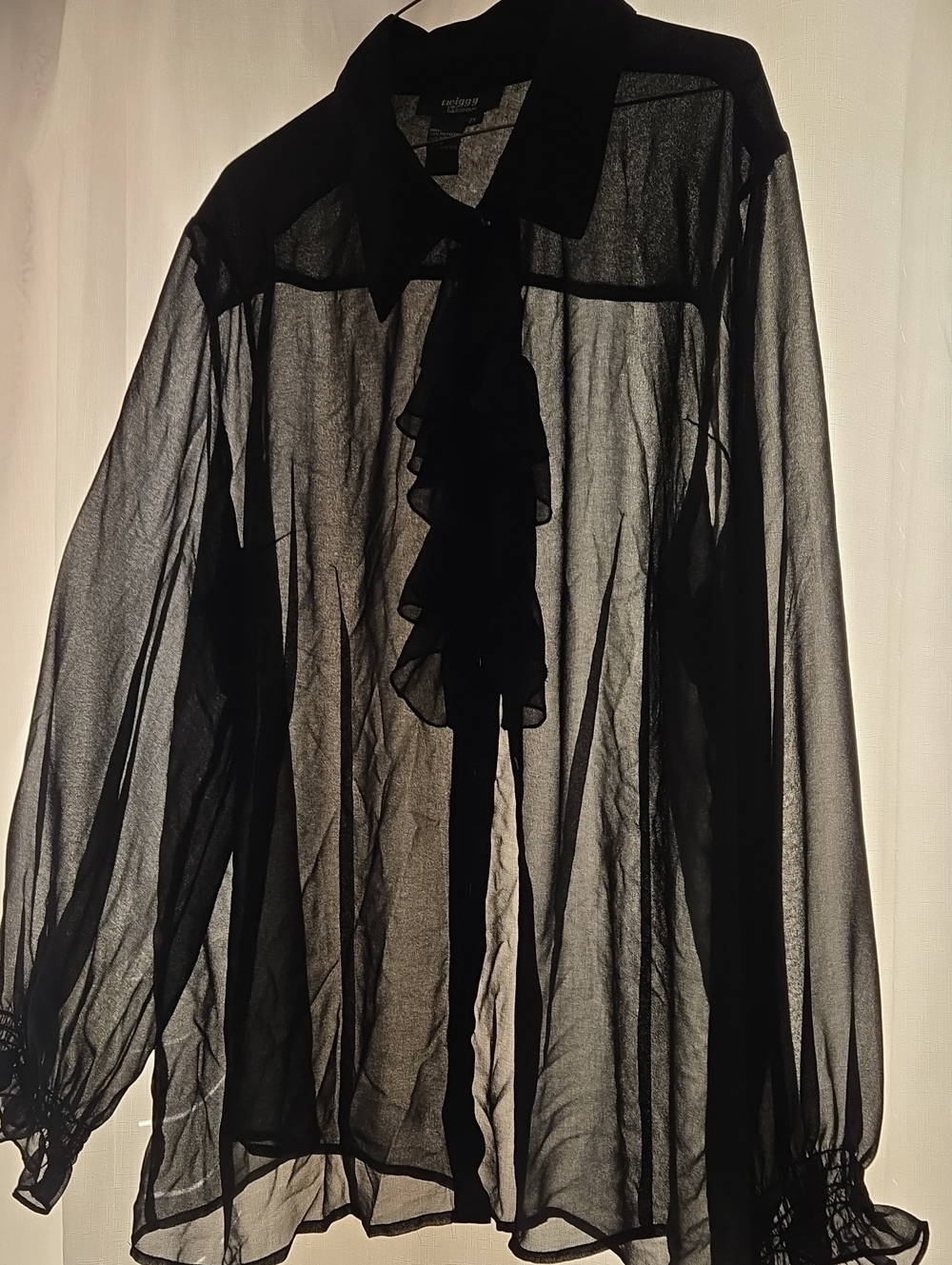 Sheer Black Ruffle Front Blouse Size 2X